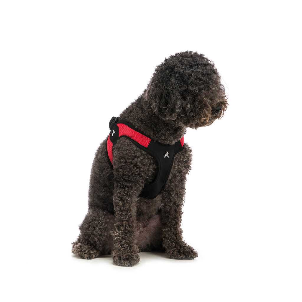 Dog Harness D98826
