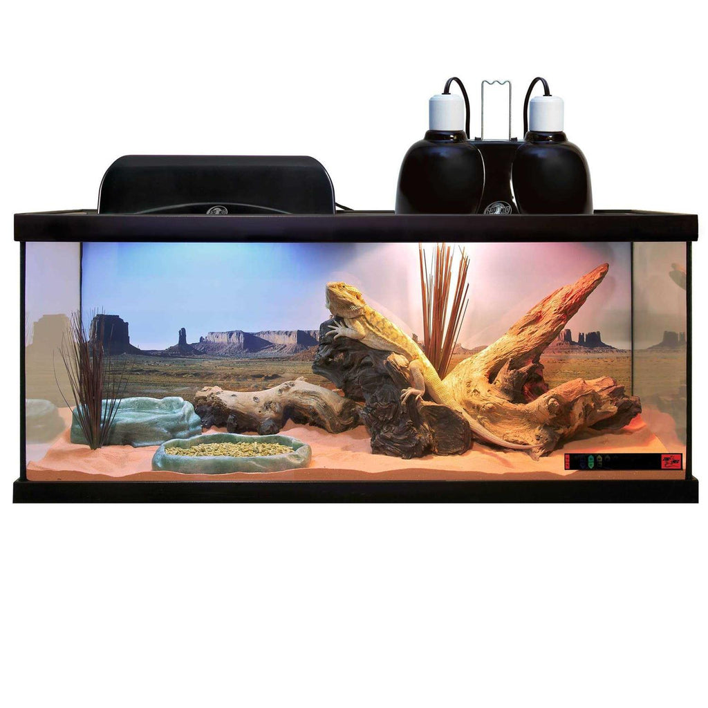 Daylight Blue Reptile Bulb A243265