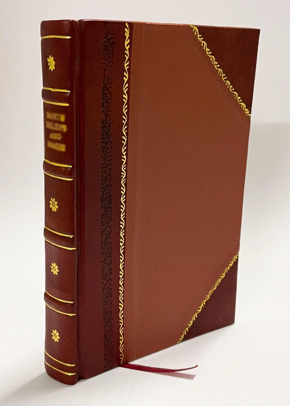 Leather Bound Textbook of Physiology W11696