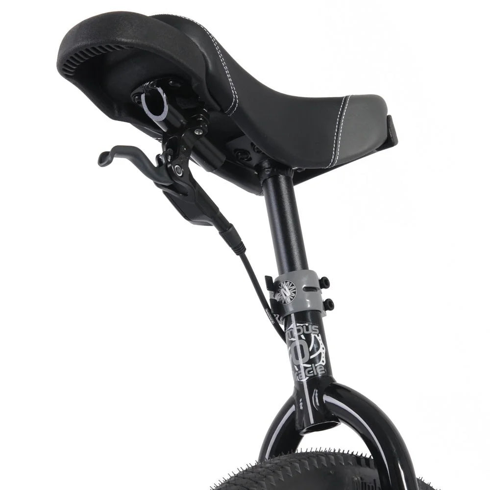 32 Black Unicycle H934