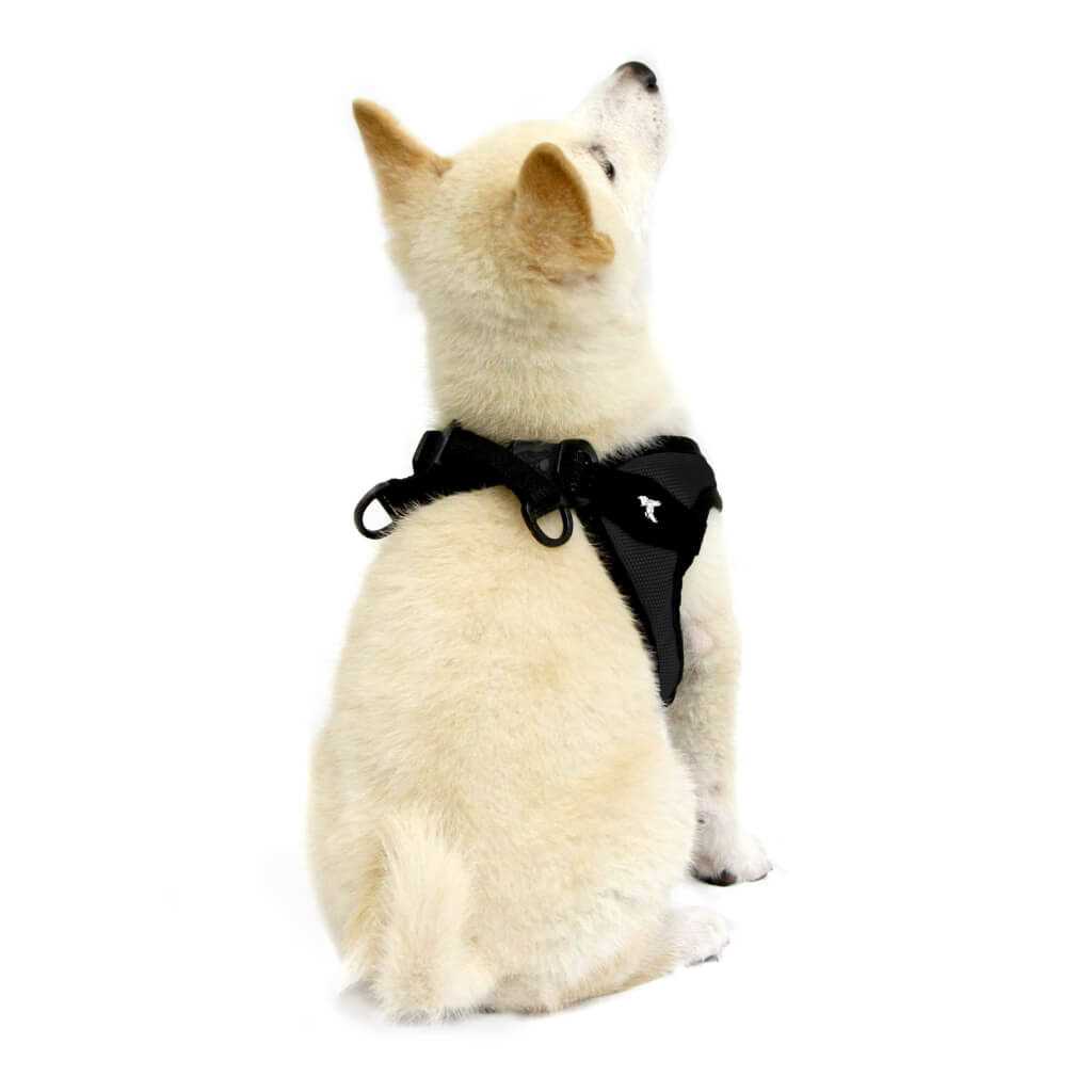 Dog Harness D98826