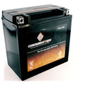 ATV Battery T778
