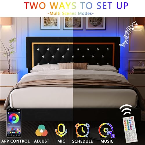 Black Upholstered Platform Bed Frame with LED Light T6653