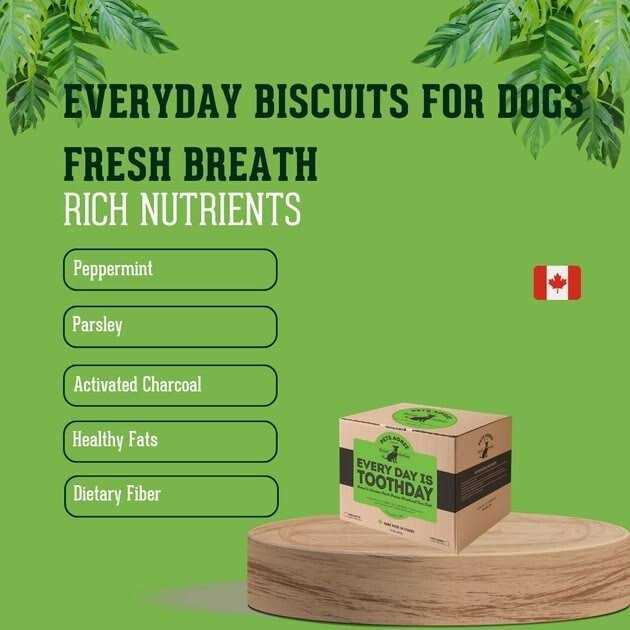 Large Crunchy Dog Treats Q83199