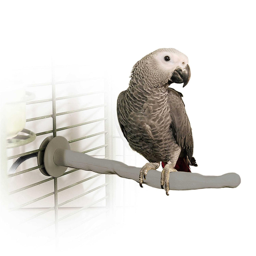 Bird Thermo-Perch Y221