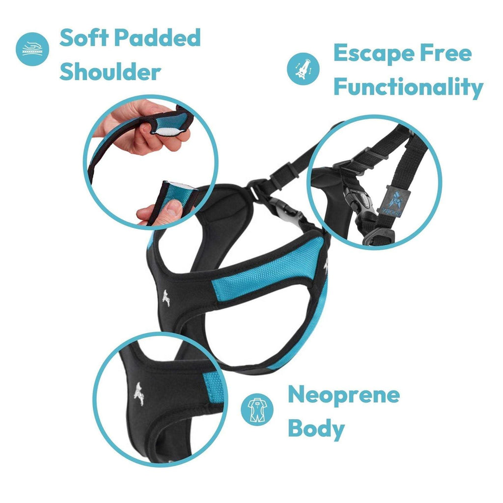 Dog Harness D98826