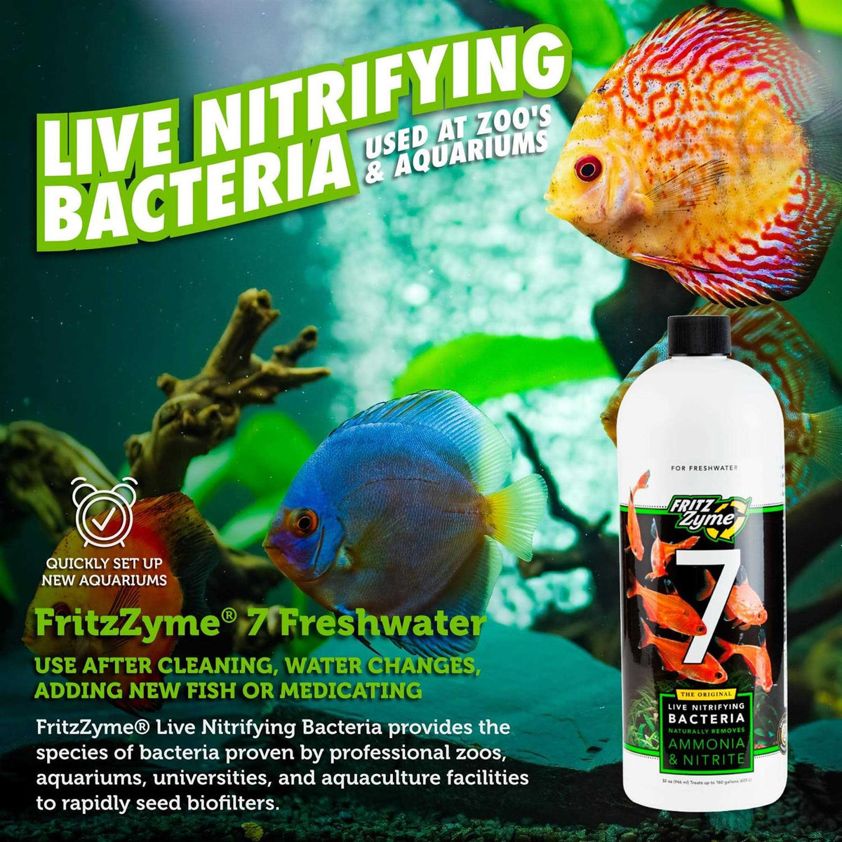 Freshwater Nitrifying Bacteria L448796