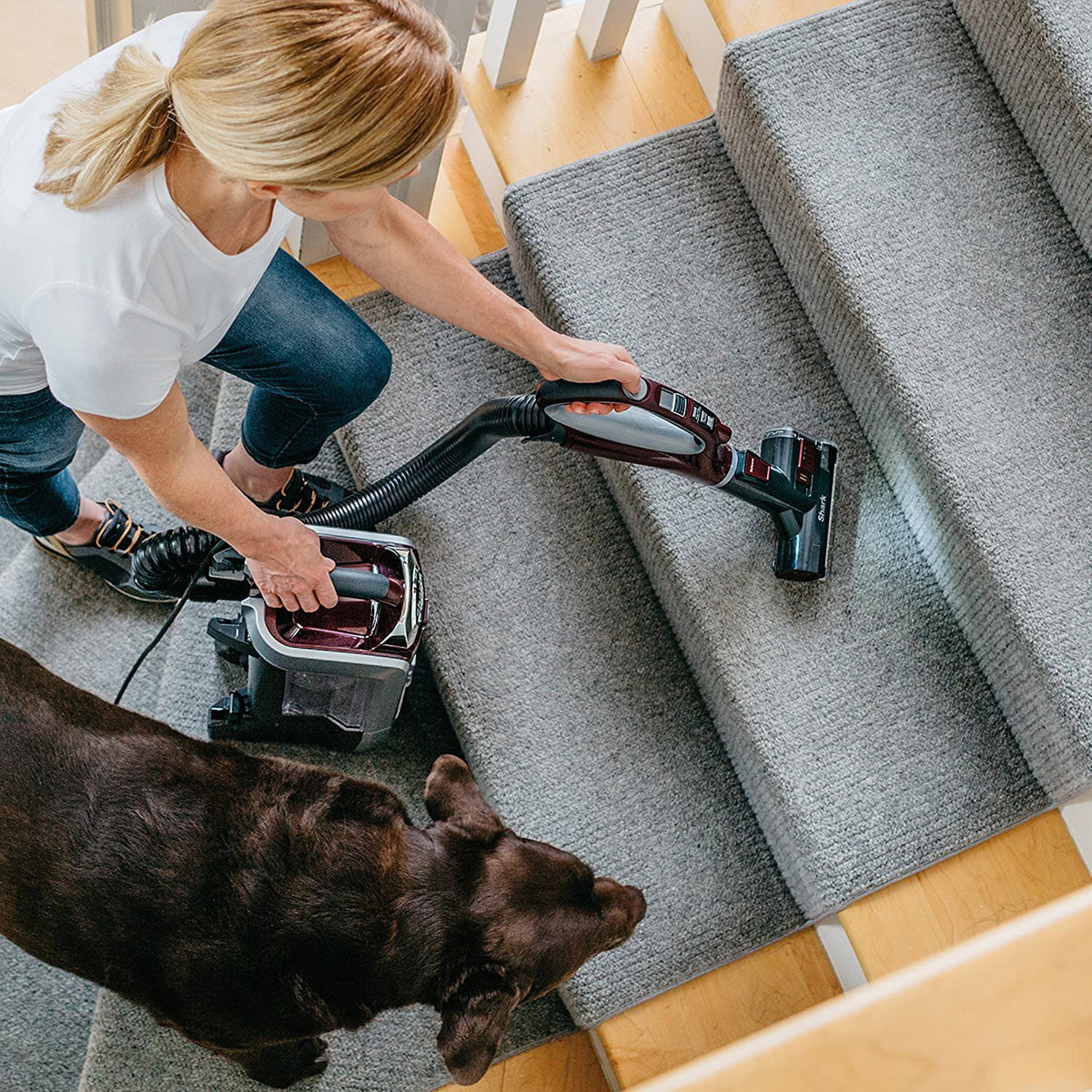 Restored Upright Vacuum with Brush D5409