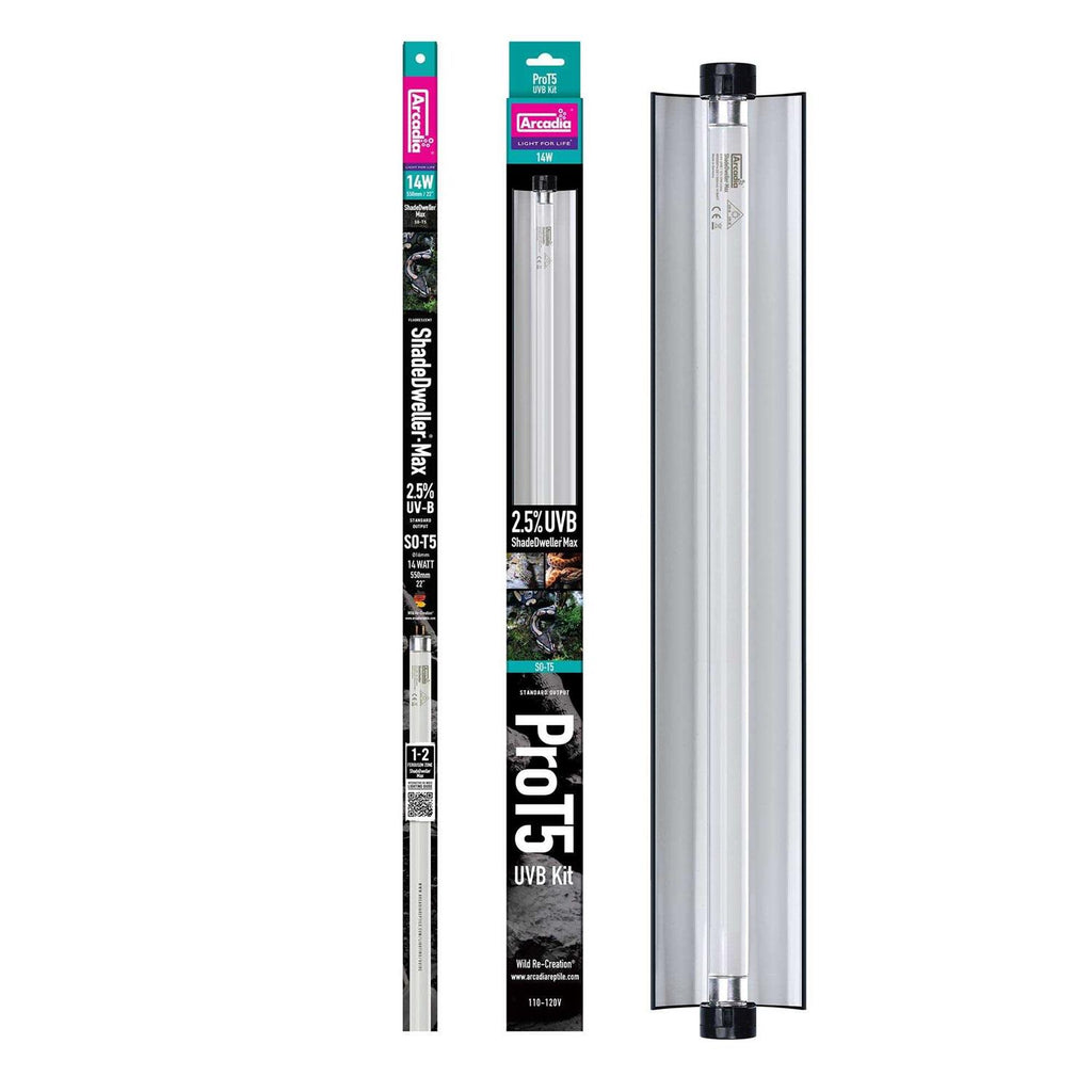 Reptile Kit M499483