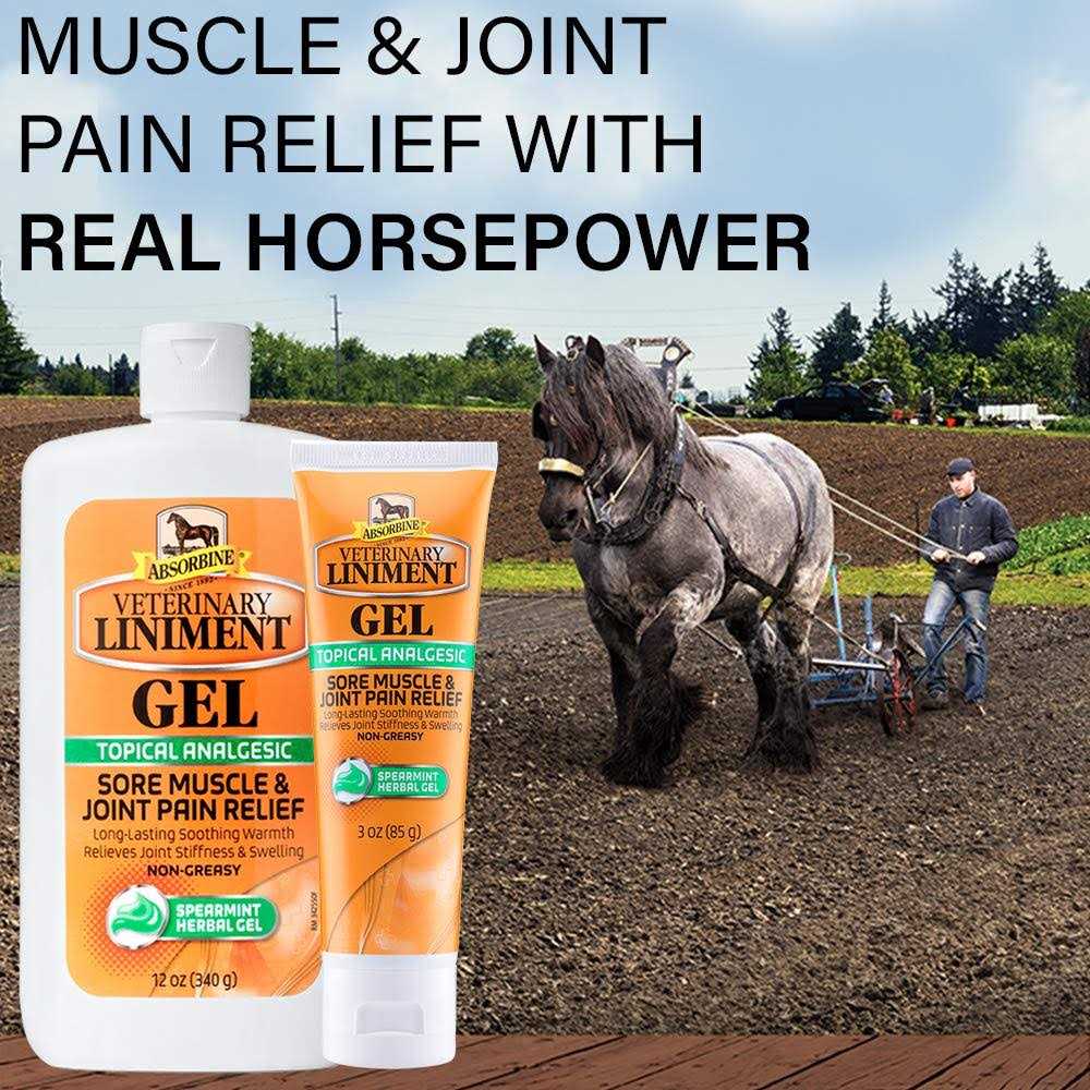 Absorbine Veterinary Liniment Gel Topical Menthol Analgesic Rub E434728