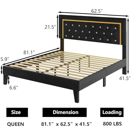 Black Upholstered Platform Bed Frame with LED Light T6653