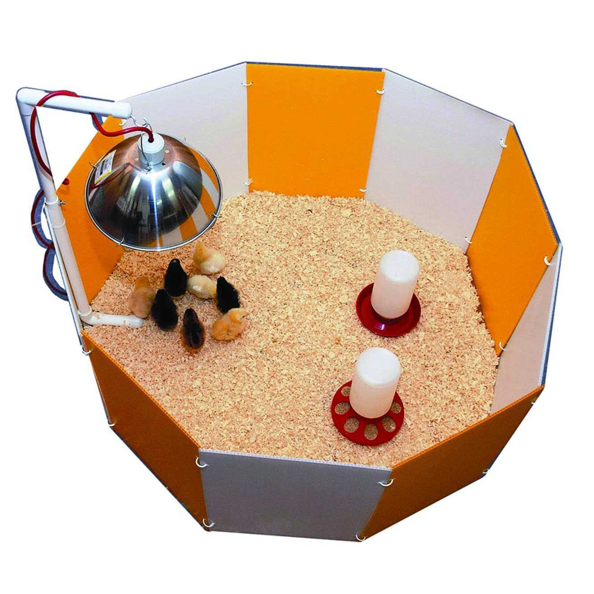 Baby Chick Starter Home F39530