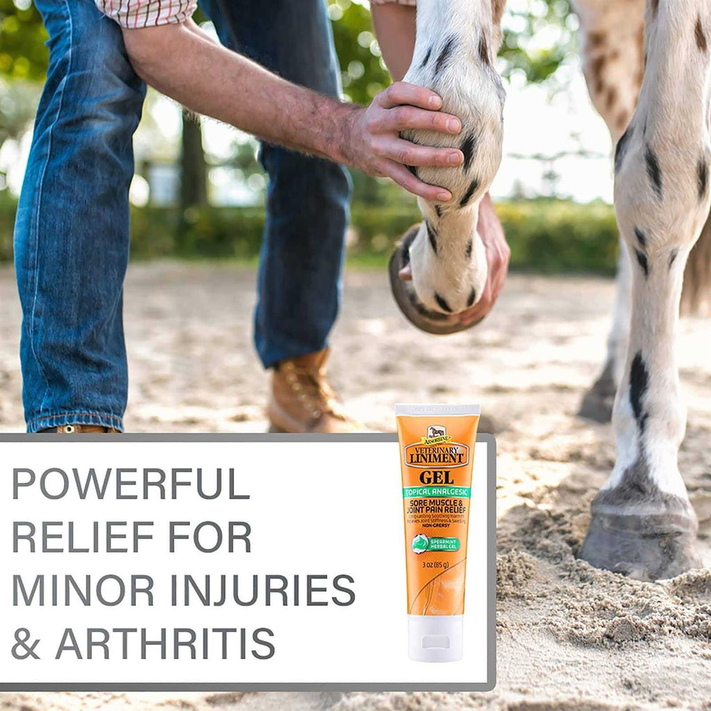 Absorbine Veterinary Liniment Gel Topical Menthol Analgesic Rub E434728