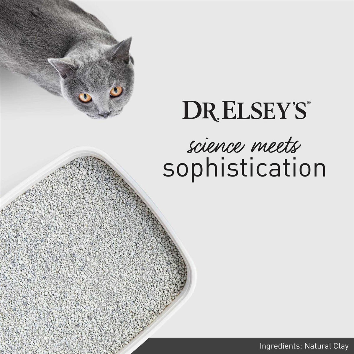 Cat Litter P677041