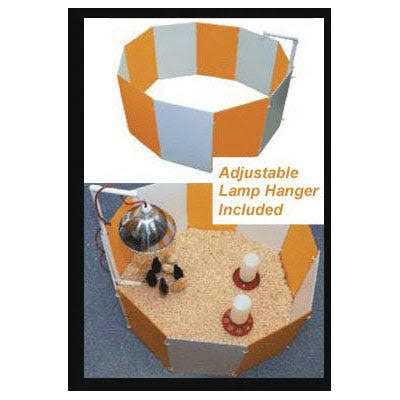 Baby Chick Starter Home F39530