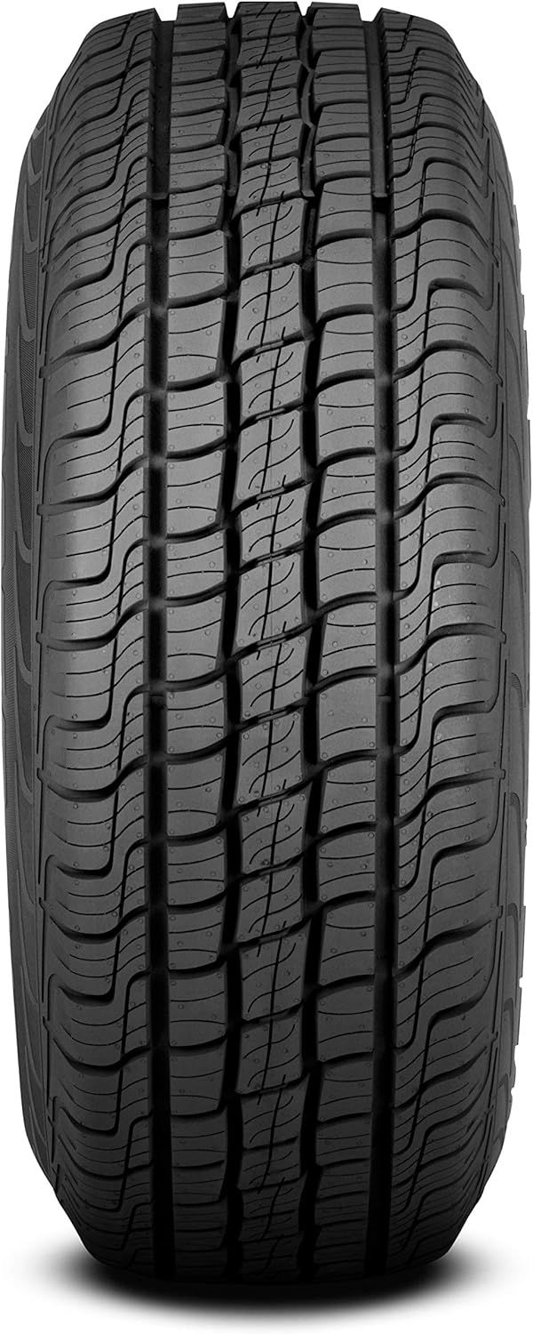 225/55R19 Tire Z503