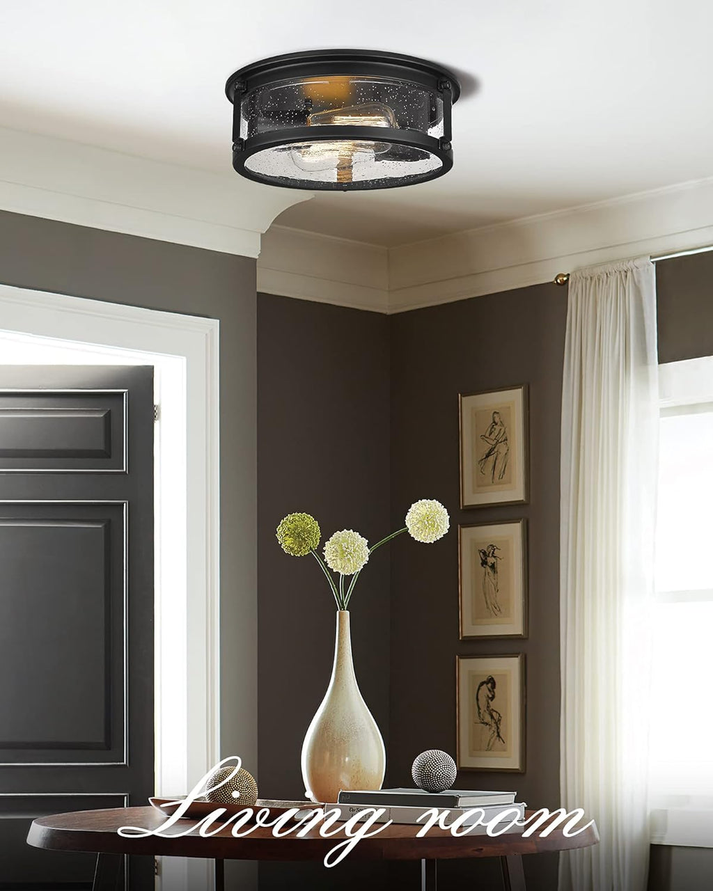Matte Black 2-Light Metal Cage Ceiling Light B29636