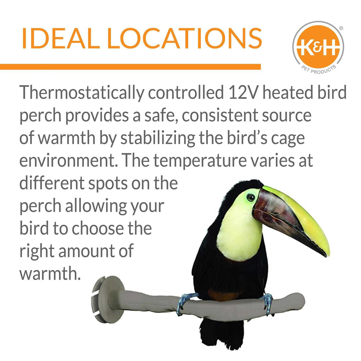 Bird Thermo-Perch Y221