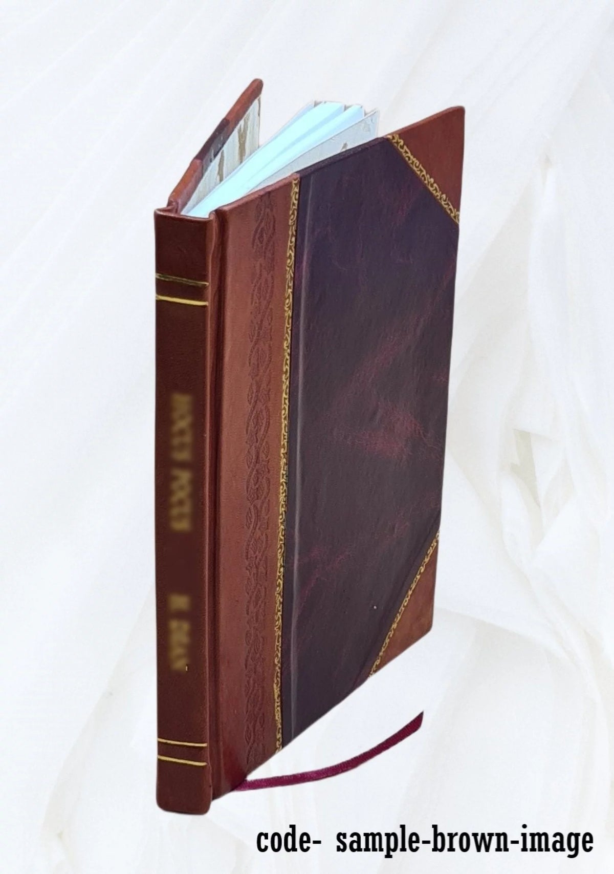 Radiometric Measurement of Uranium and Thorium by Gamma-Ray Spectrometer Leather Bound V6012
