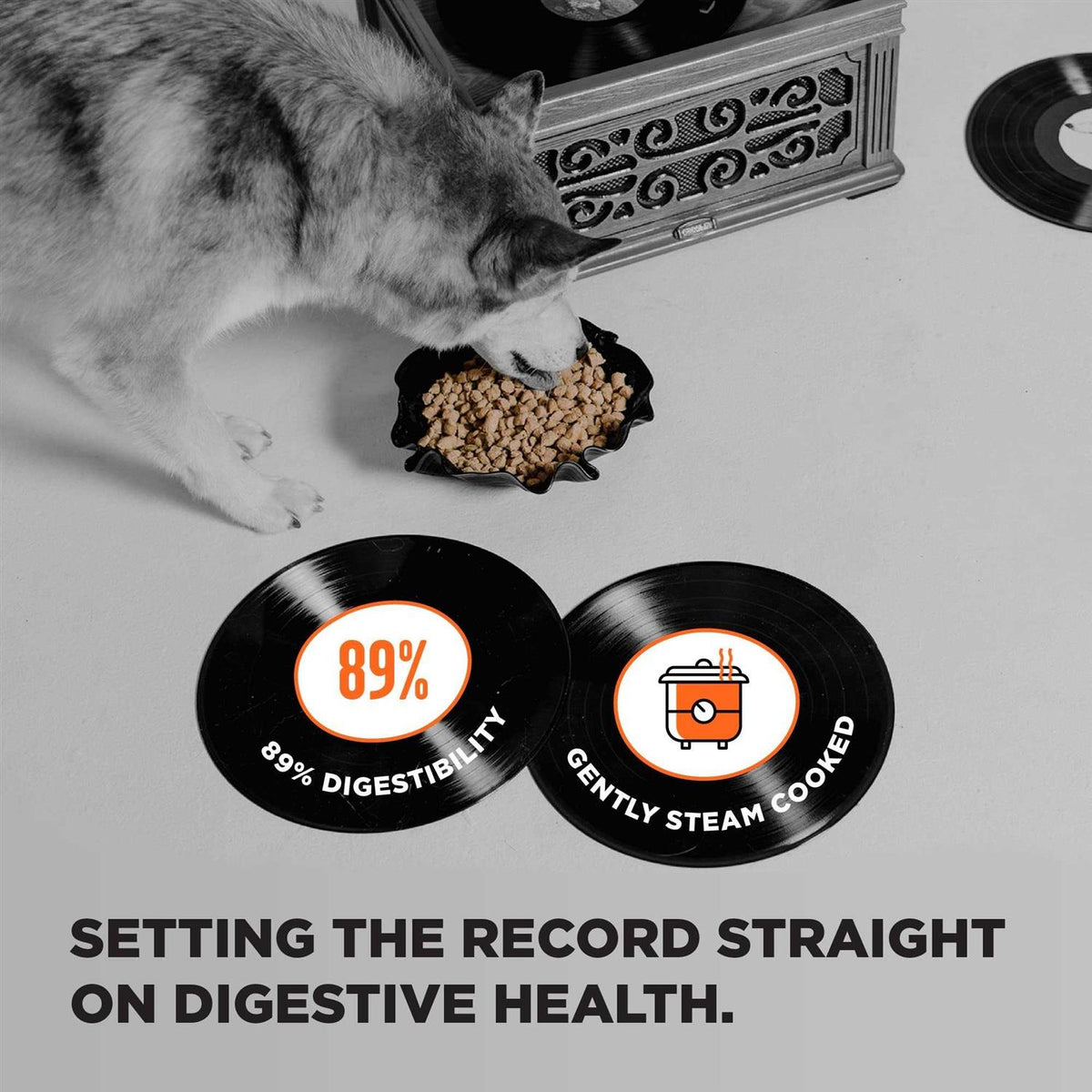 Grain Free Dry Dog Food Chicken N490