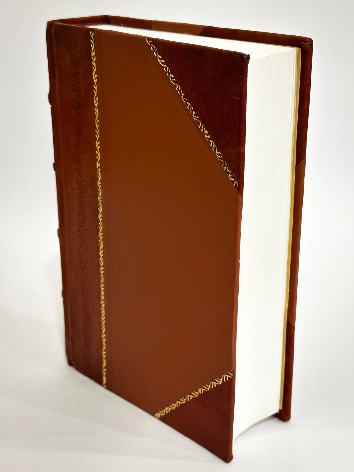 Leather Bound Textbook of Physiology W11696