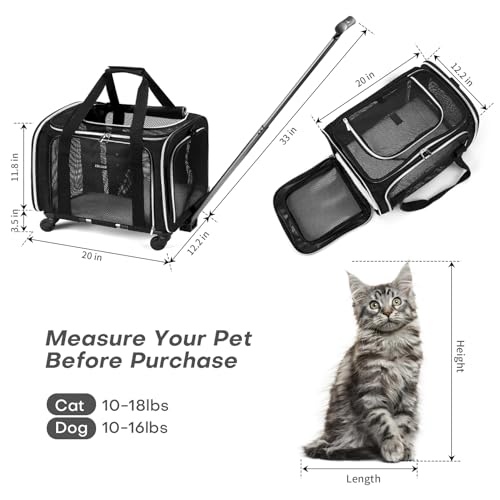 Purple Soft Side Dog Carrier Bag with Wheels B8164