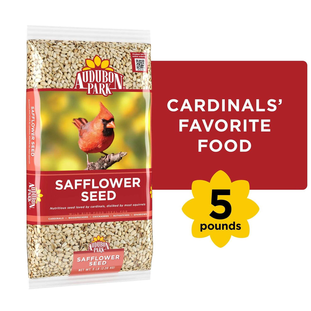 Safflower Seed Wild Bird Food D952811