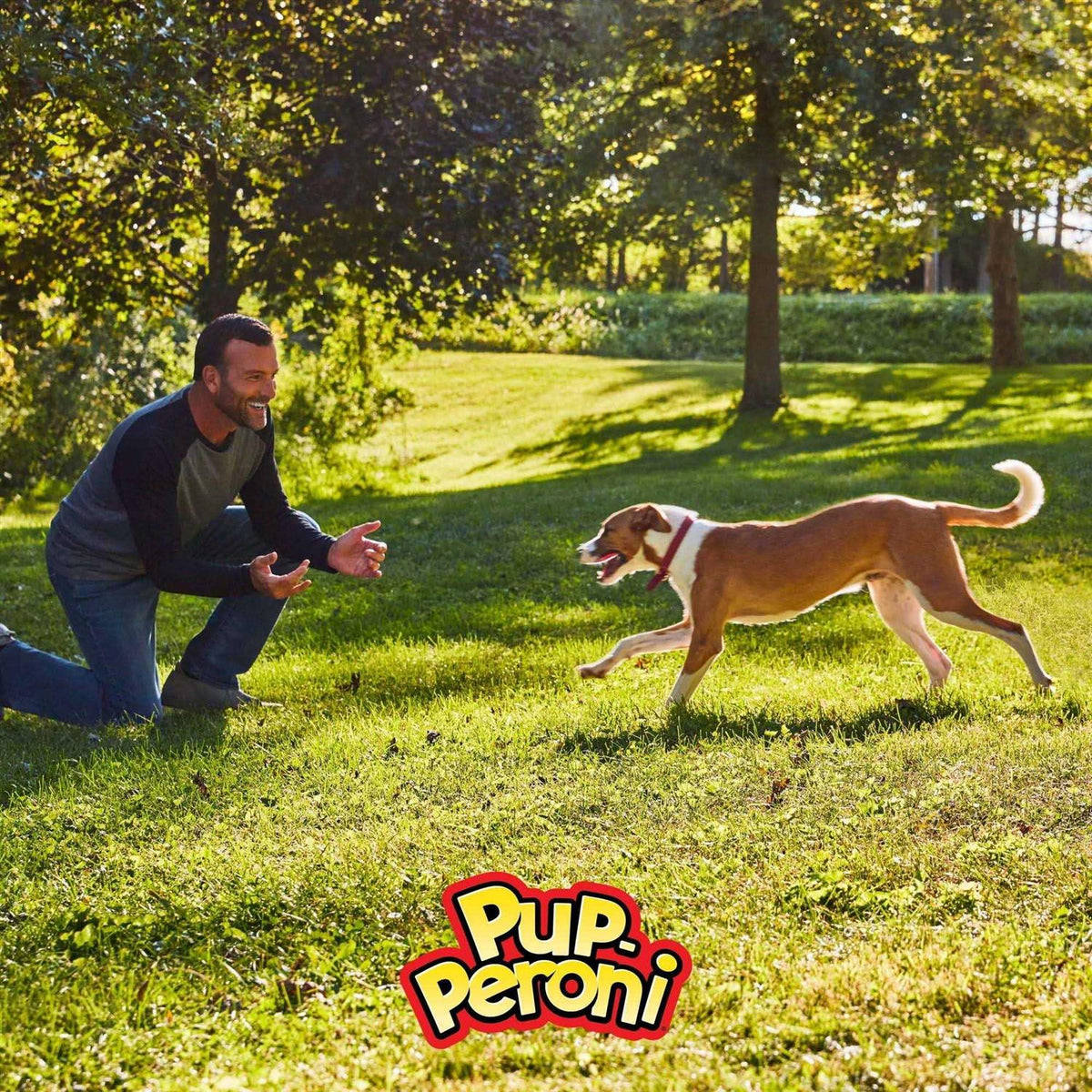 Pup-Peroni Triple Dog I2855