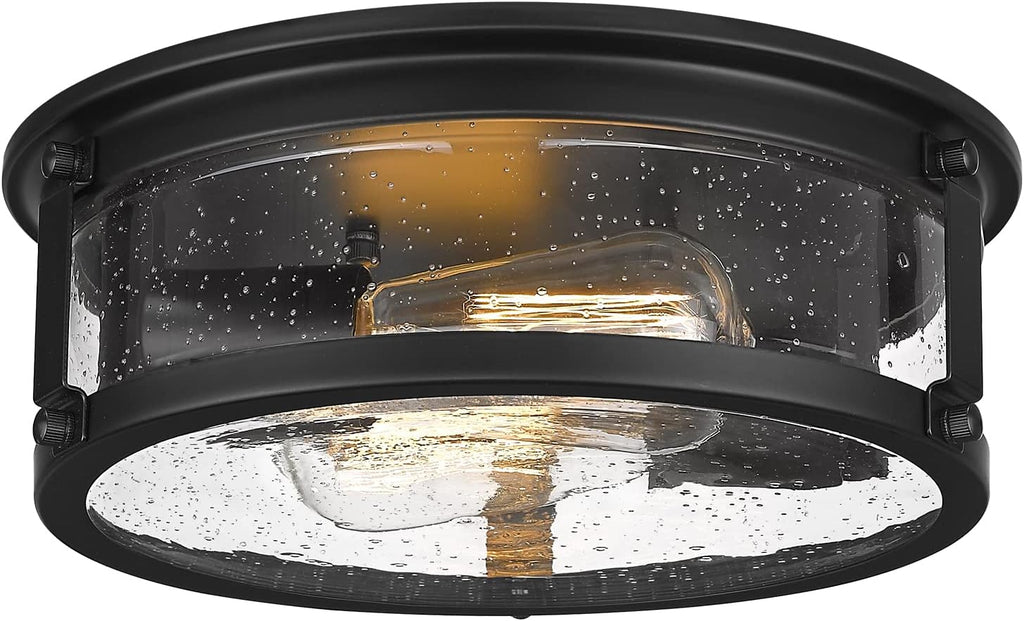 Matte Black 2-Light Metal Cage Ceiling Light B29636