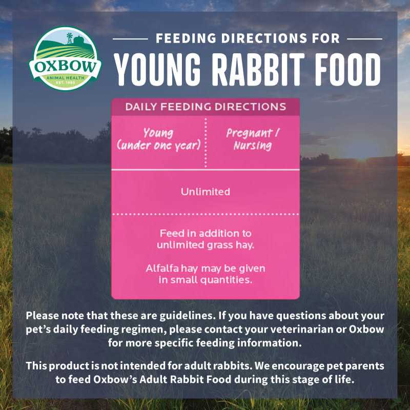 Young Rabbit Food F7142
