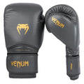 Boxing Gloves F478054
