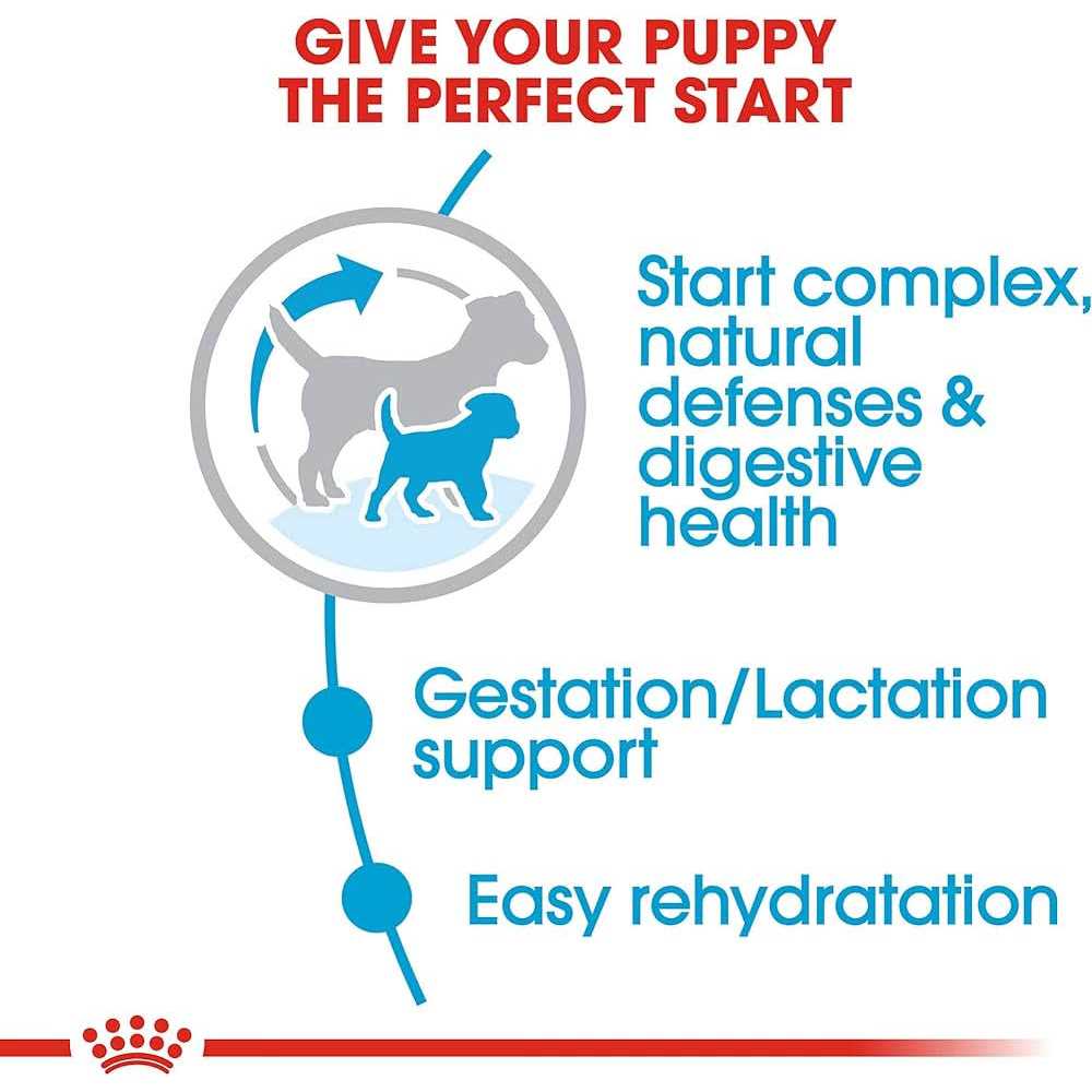Small Starter Dry Dog Food O54786