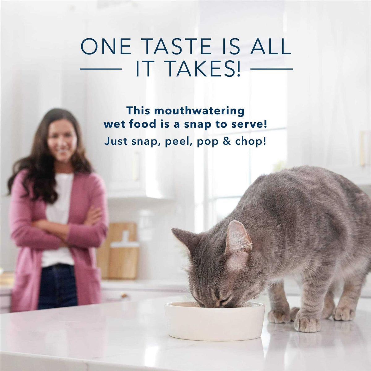 Adult Pate Wet Cat Food O7863