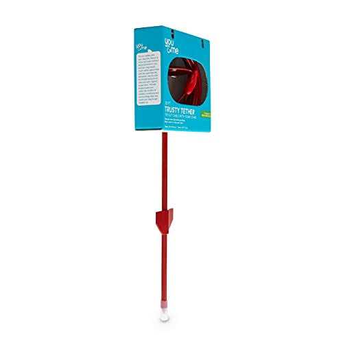 Red Powder-Coated Steel Pet Leash Post B488