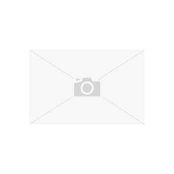 Cat Toy L576175