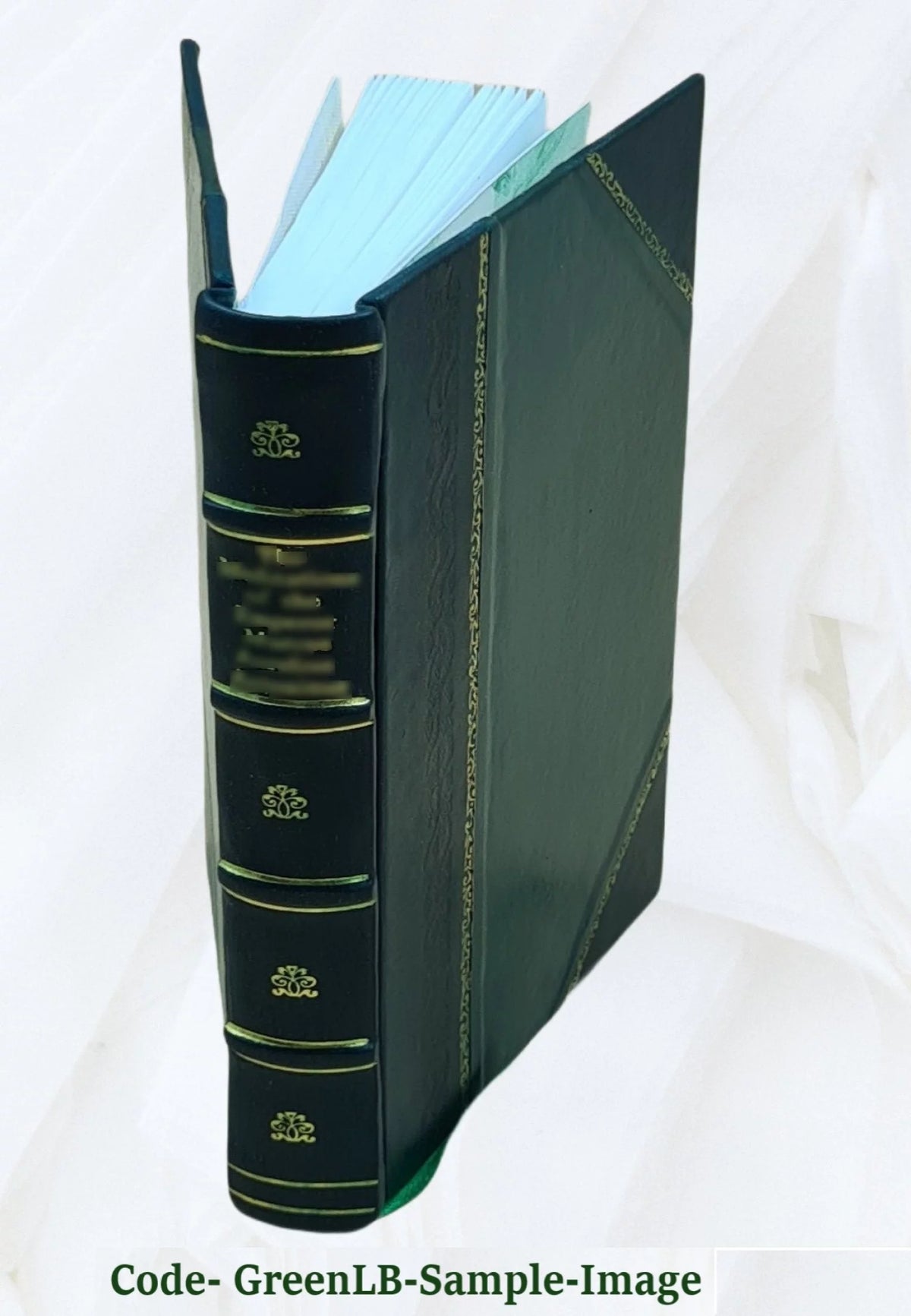 Leather Bound Book R744382