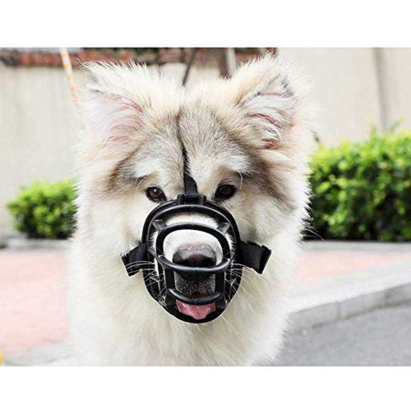 Leather Dog Muzzle U945055